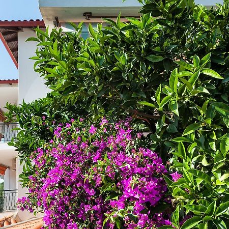 Xenios Loutra Village Mary'S House Ajia Paraskiewi Zewnętrze zdjęcie