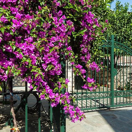 Xenios Loutra Village Mary'S House Ajia Paraskiewi Zewnętrze zdjęcie