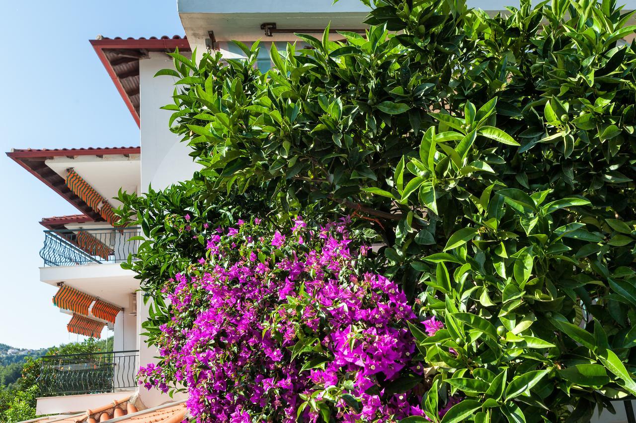 Xenios Loutra Village Mary'S House Ajia Paraskiewi Zewnętrze zdjęcie
